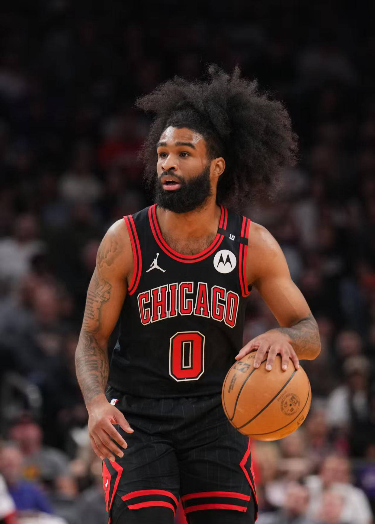 包含公牛爆发新星，助攻爆棚刷新纪录，逆转取胜球队迎来希望！的词条